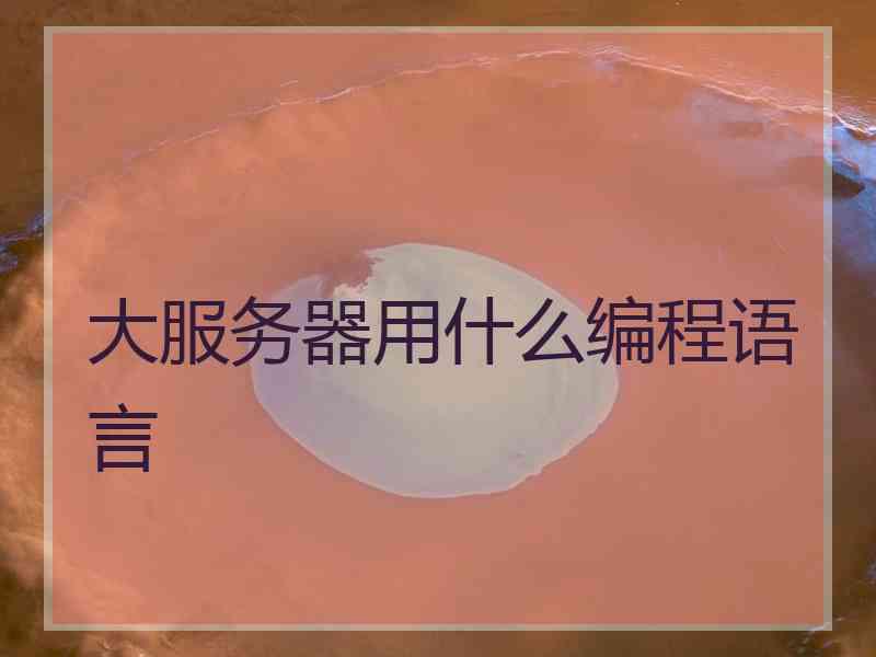 大服务器用什么编程语言