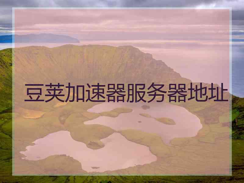豆荚加速器服务器地址