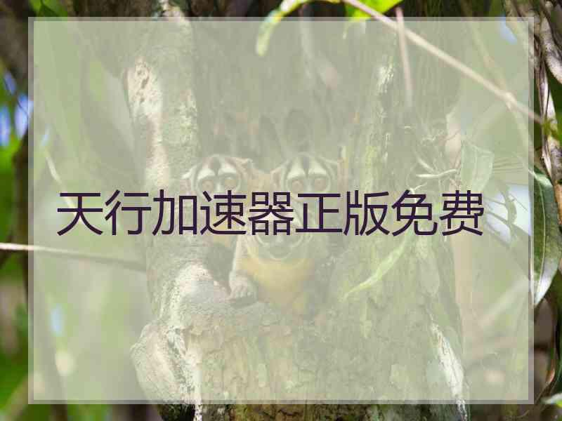天行加速器正版免费