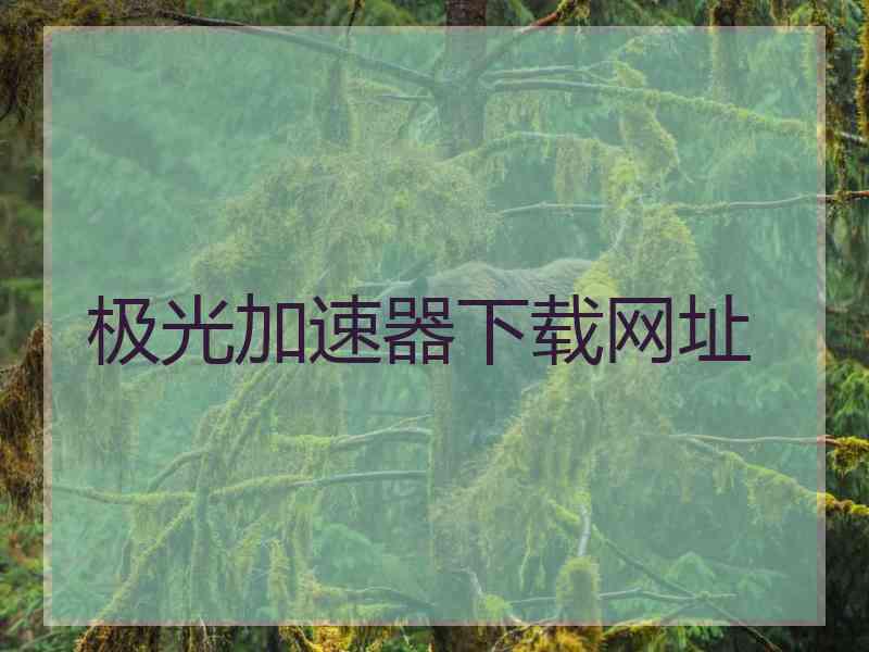 极光加速器下载网址