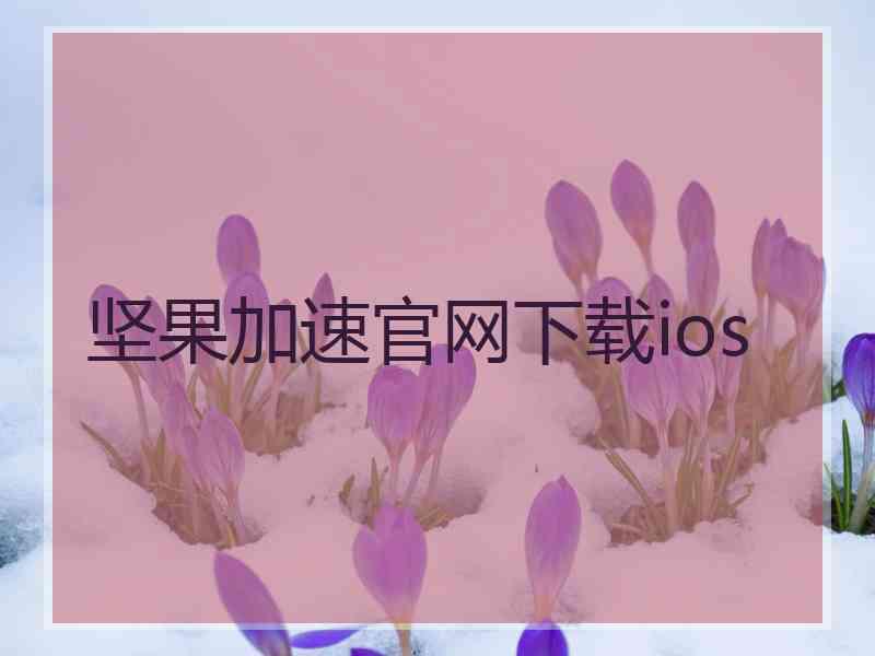 坚果加速官网下载ios