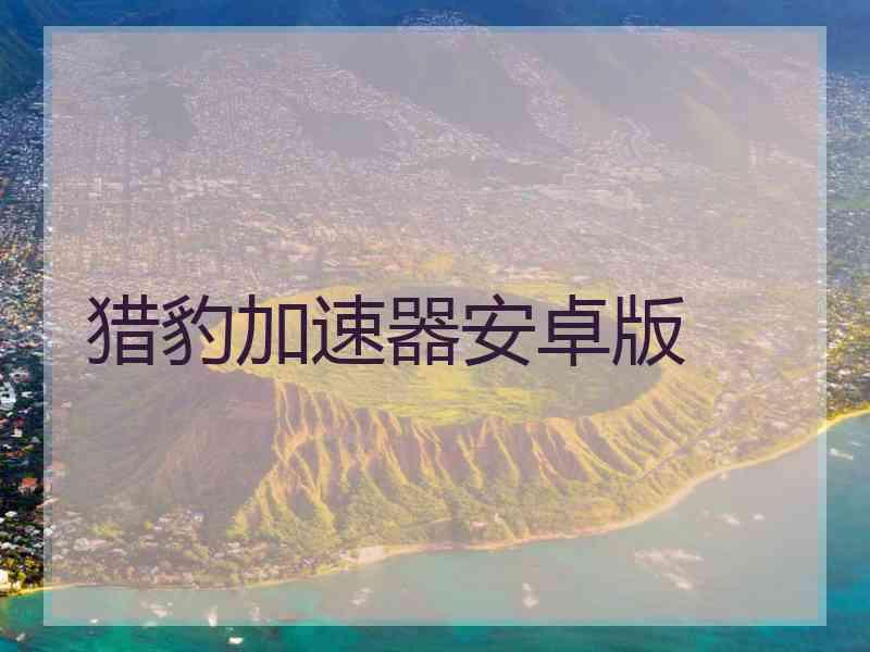 猎豹加速器安卓版