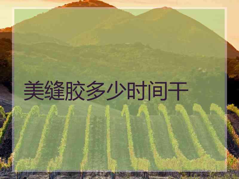 美缝胶多少时间干