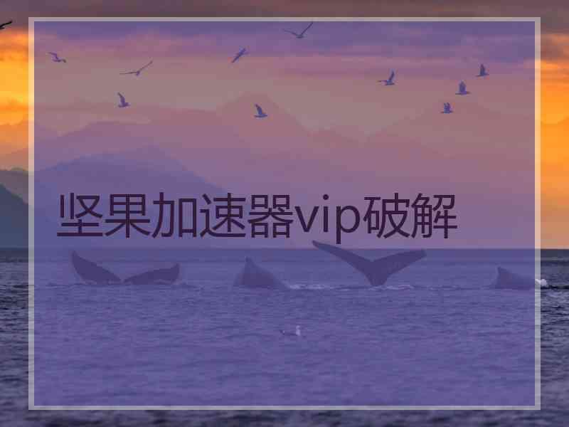 坚果加速器vip破解