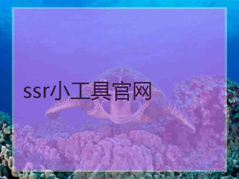 ssr小工具官网