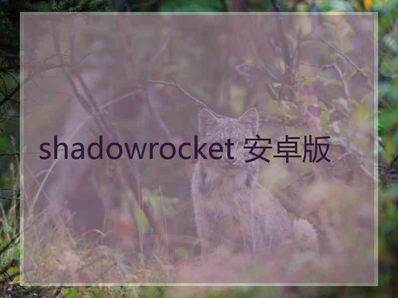 shadowrocket 安卓版