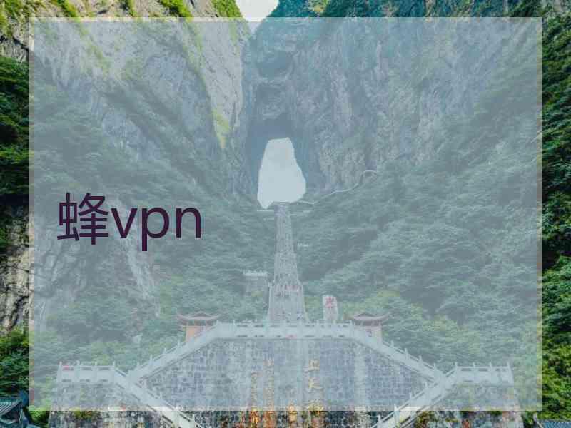 蜂vpn