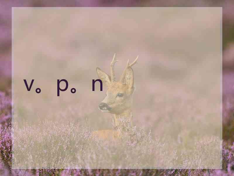 v。p。n