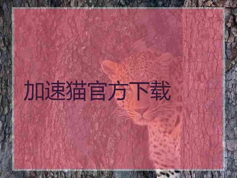 加速猫官方下载