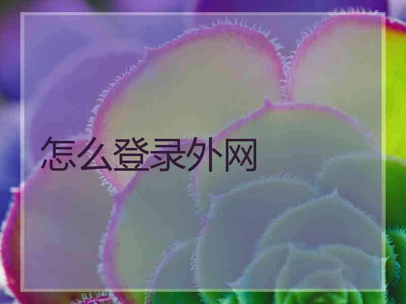怎么登录外网