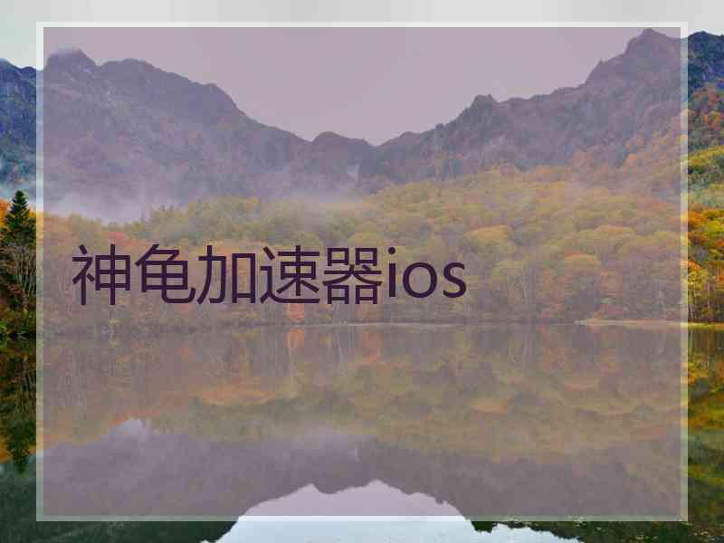 神龟加速器ios
