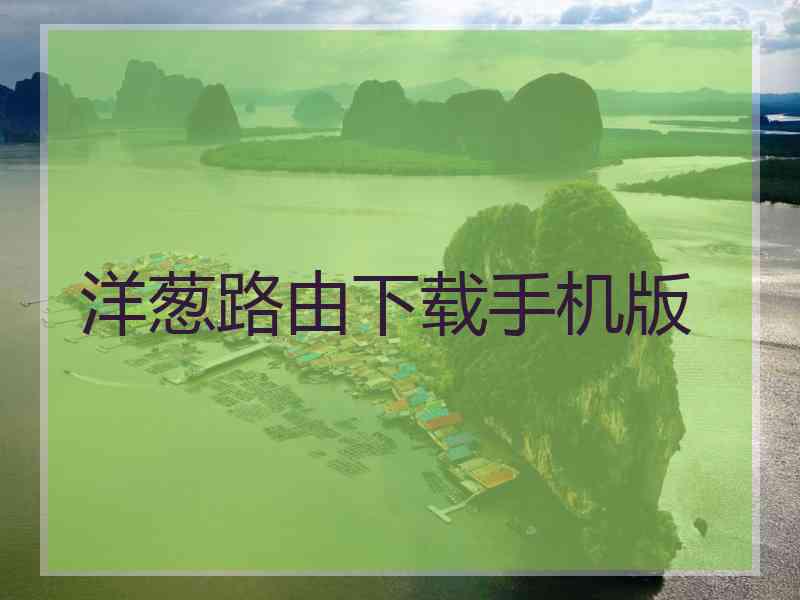 洋葱路由下载手机版