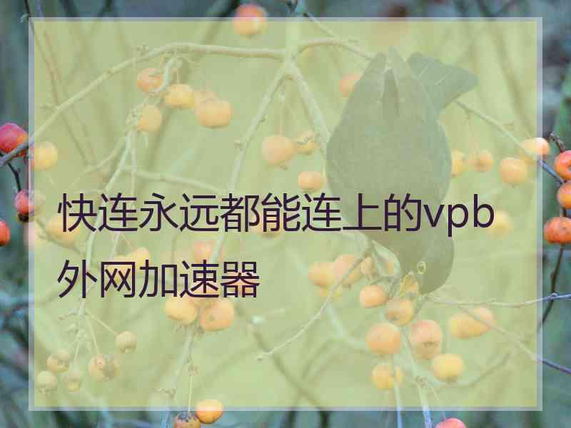 快连永远都能连上的vpb外网加速器