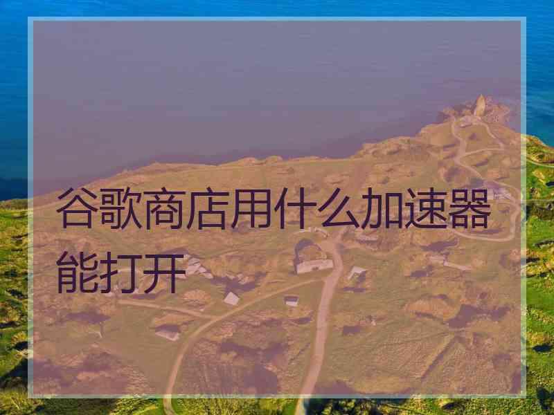 谷歌商店用什么加速器能打开