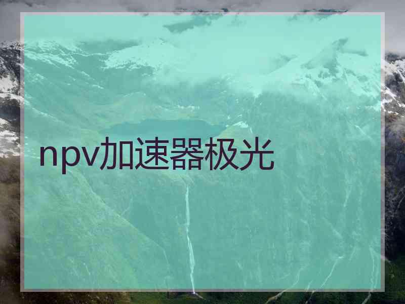 npv加速器极光