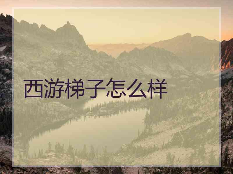 西游梯子怎么样
