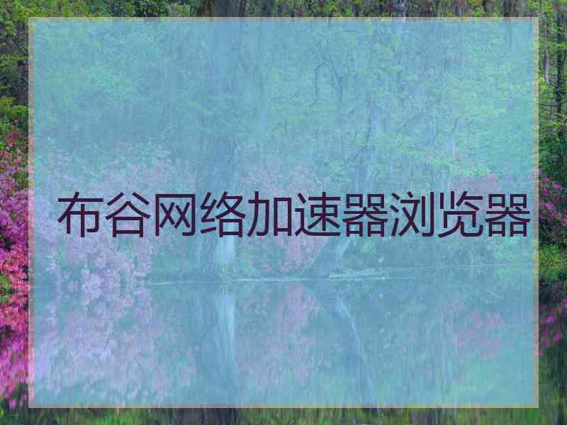 布谷网络加速器浏览器