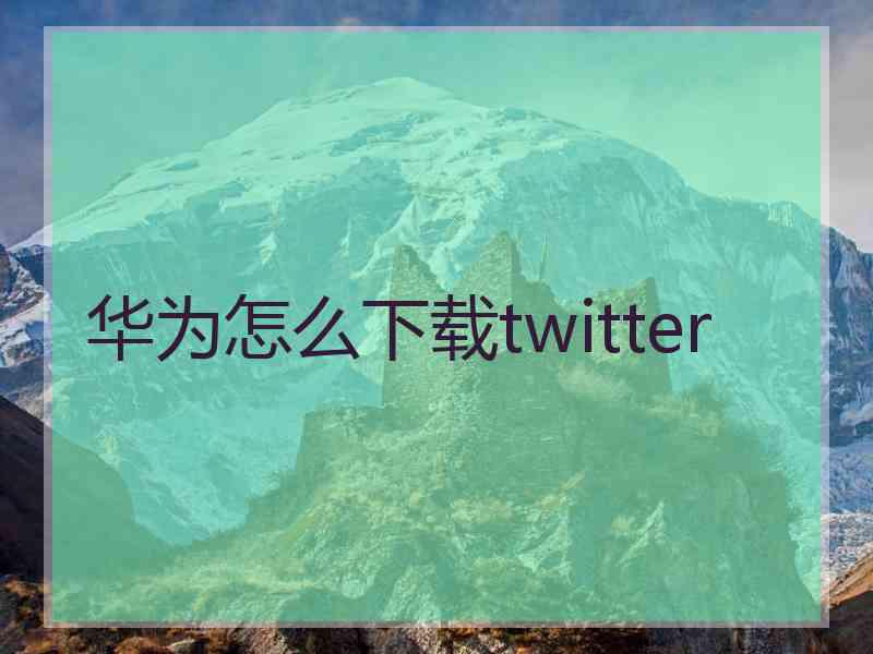 华为怎么下载twitter