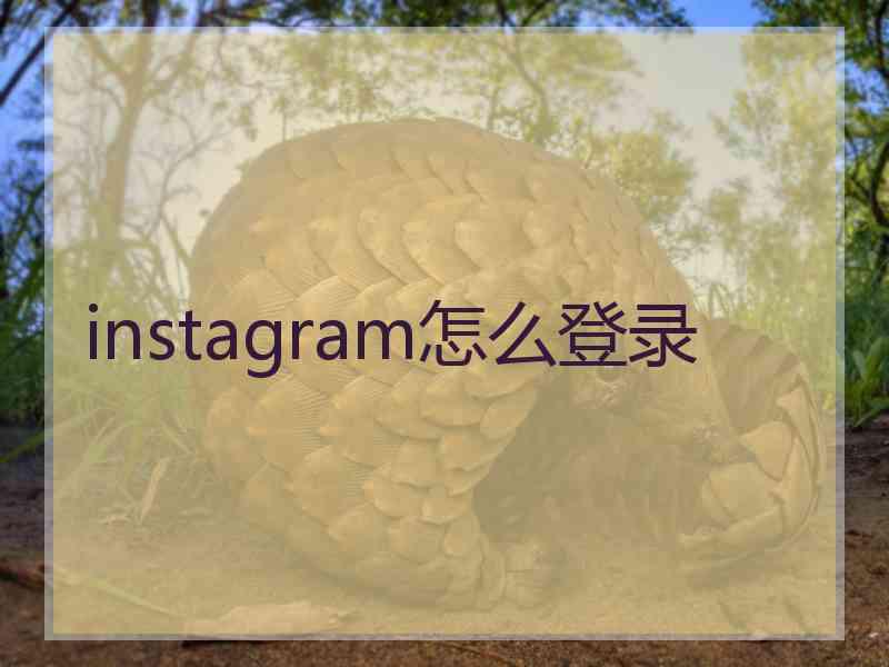 instagram怎么登录