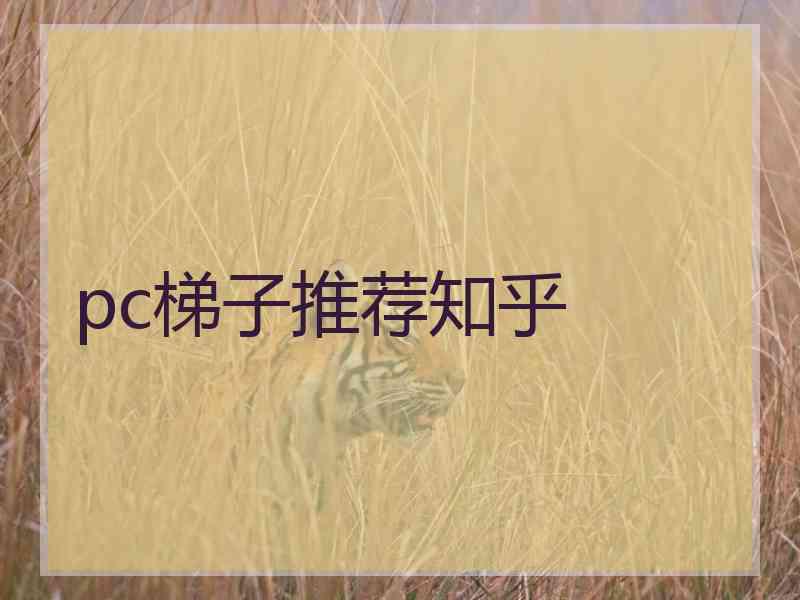 pc梯子推荐知乎