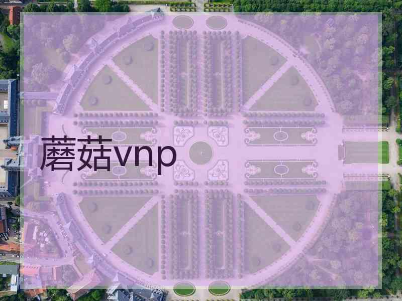 蘑菇vnp