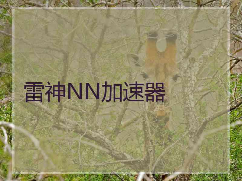 雷神NN加速器