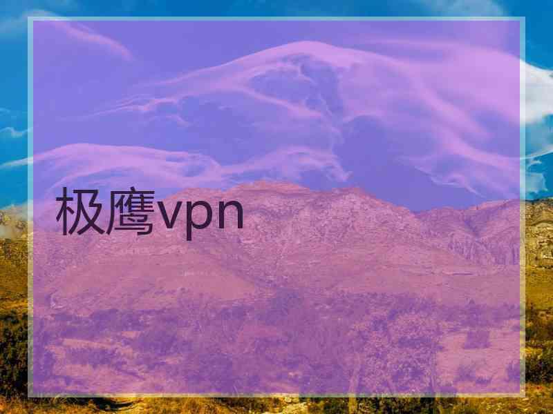 极鹰vpn