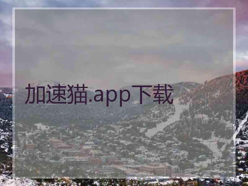 加速猫.app下载