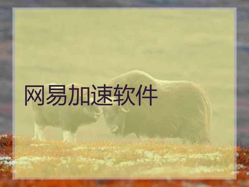 网易加速软件