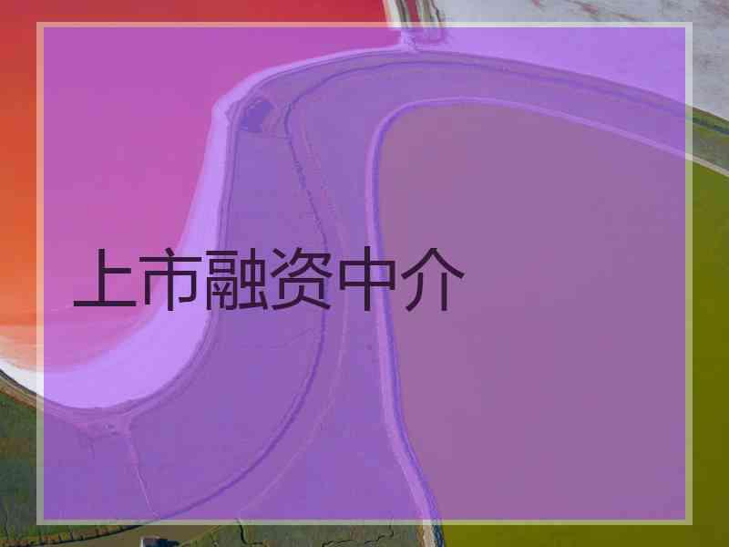上市融资中介