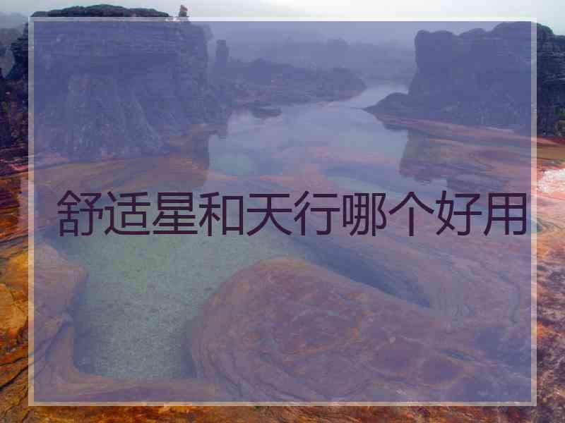 舒适星和天行哪个好用