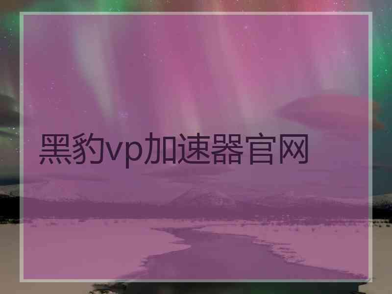 黑豹vp加速器官网