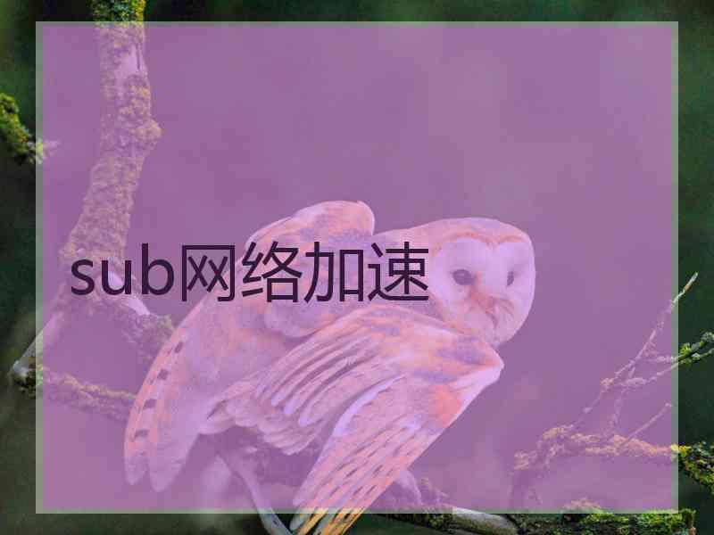 sub网络加速