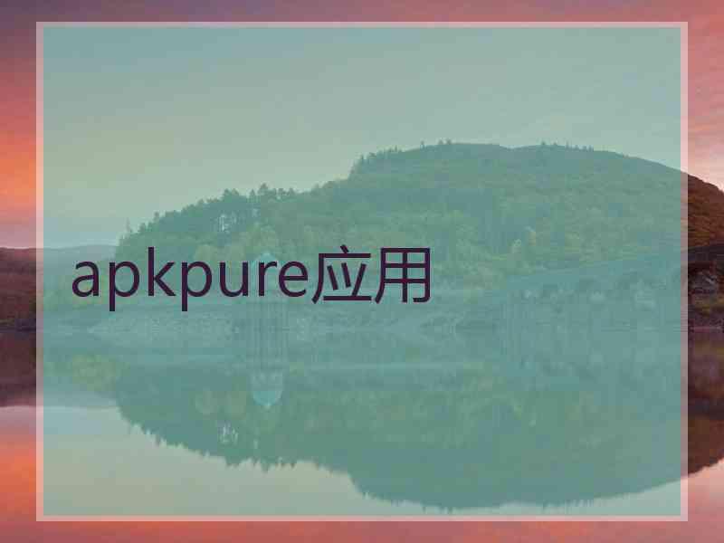 apkpure应用