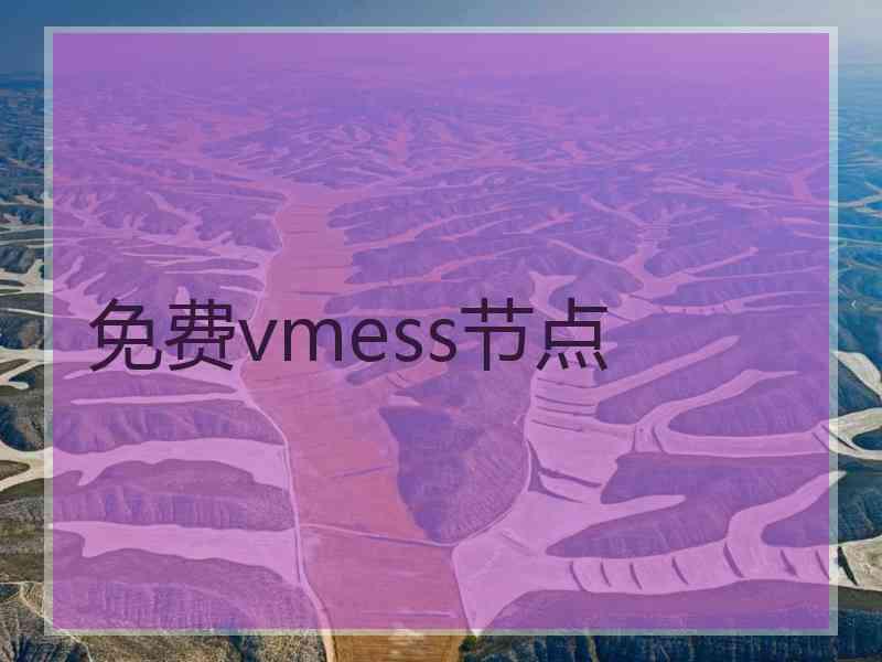 免费vmess节点