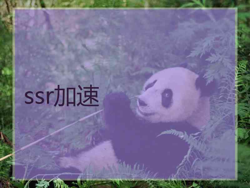 ssr加速