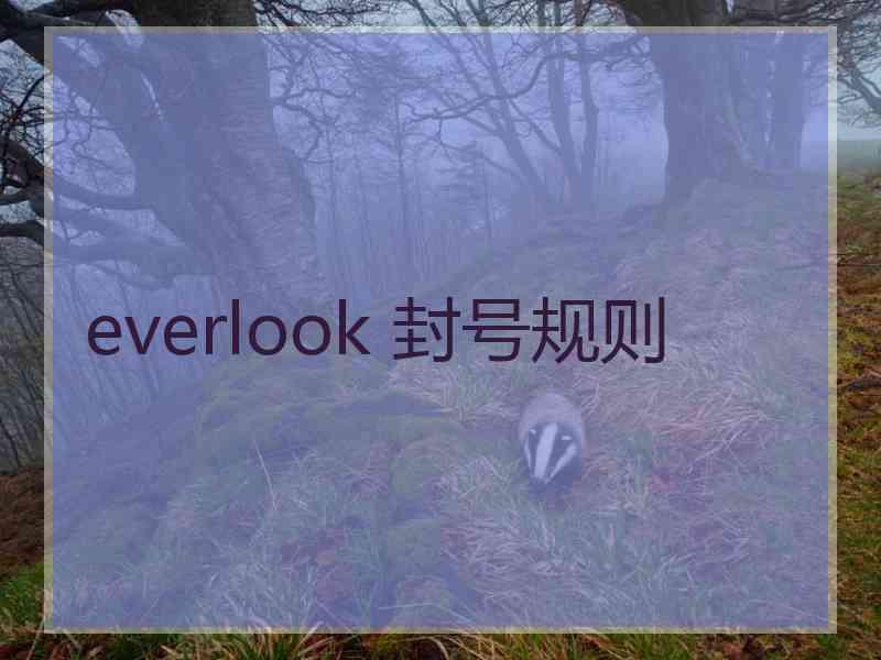 everlook 封号规则