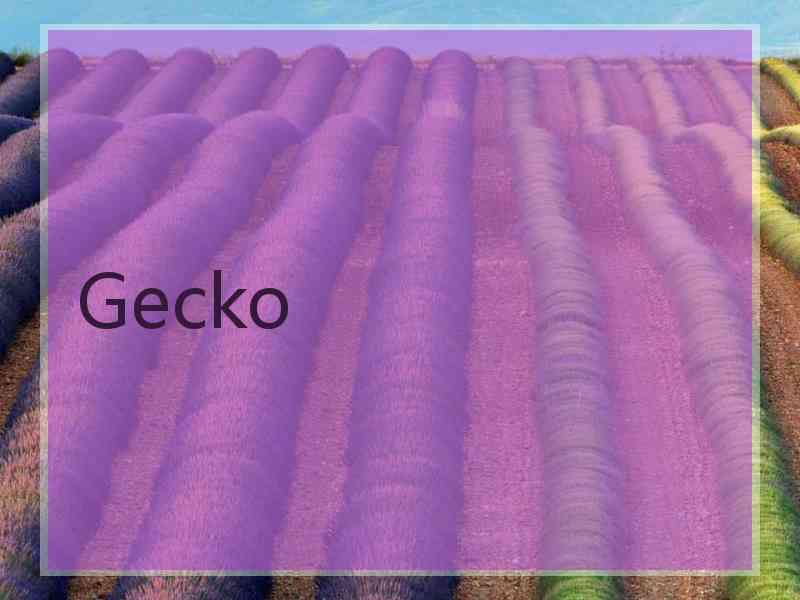 Gecko