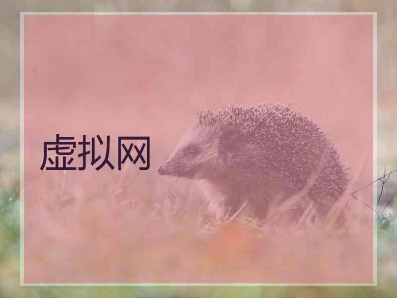 虚拟网