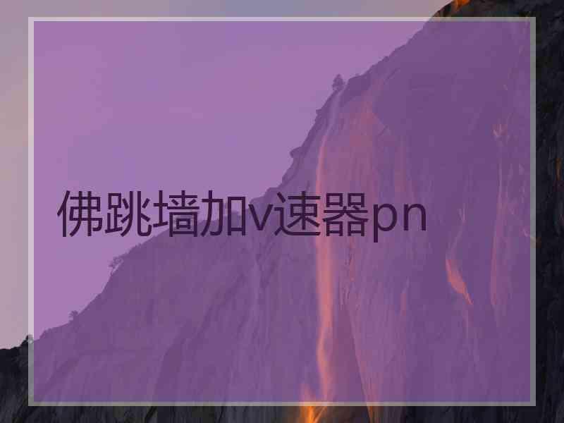 佛跳墙加v速器pn
