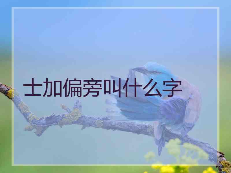 士加偏旁叫什么字