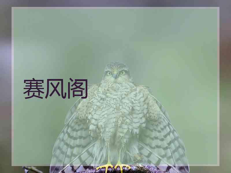 赛风阁