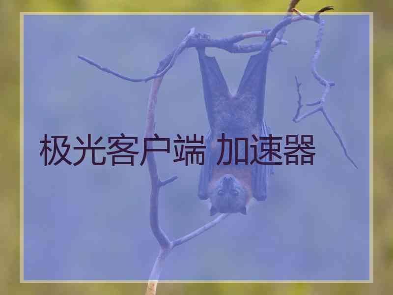 极光客户端 加速器