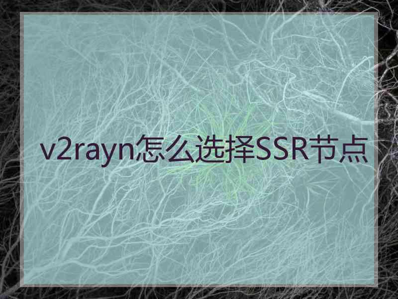 v2rayn怎么选择SSR节点
