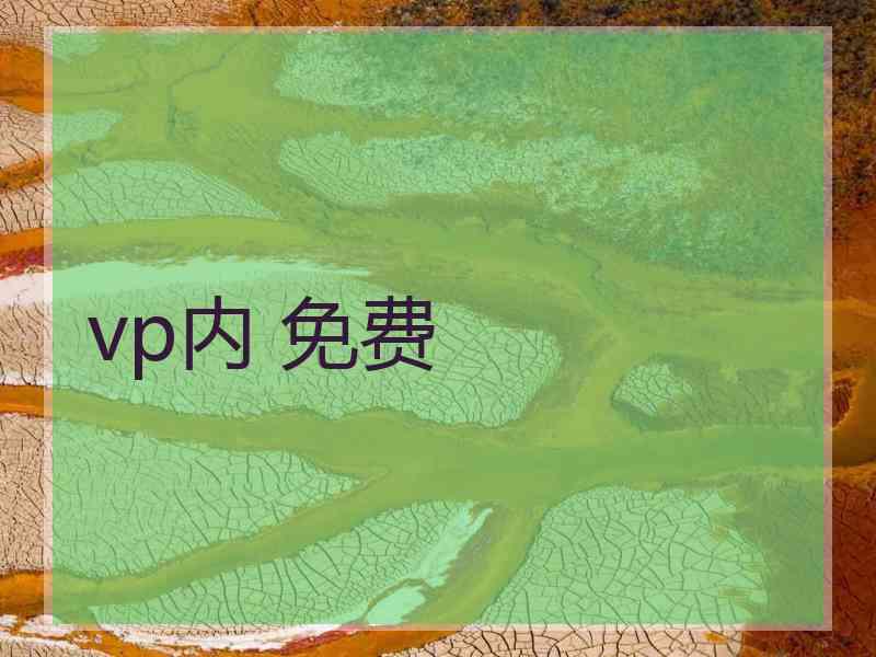 vp内 免费