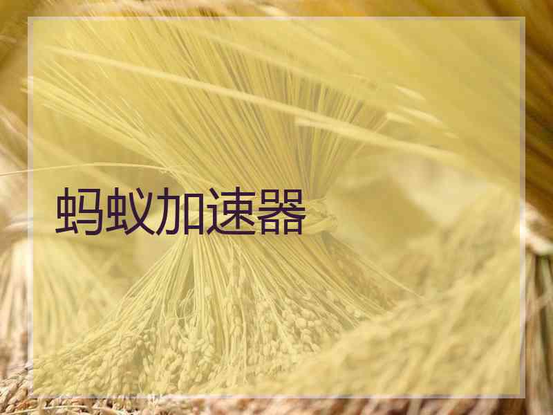 蚂蚁加速器