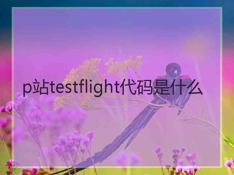 p站testflight代码是什么