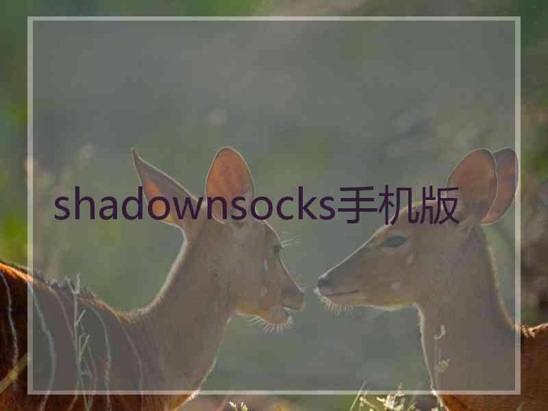 shadownsocks手机版