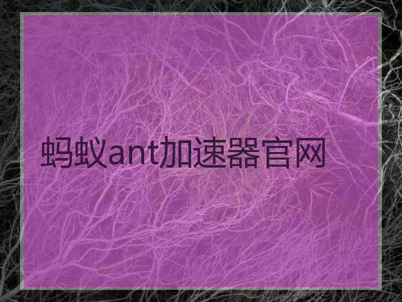 蚂蚁ant加速器官网