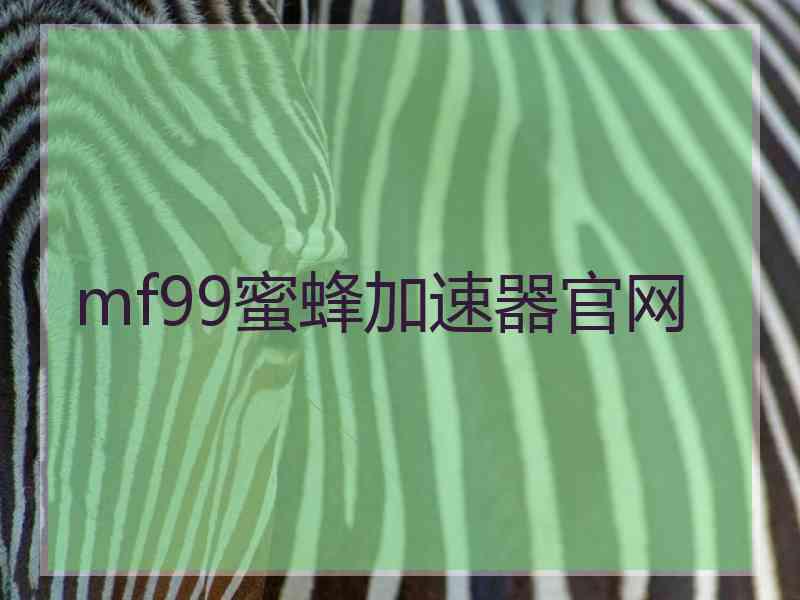 mf99蜜蜂加速器官网